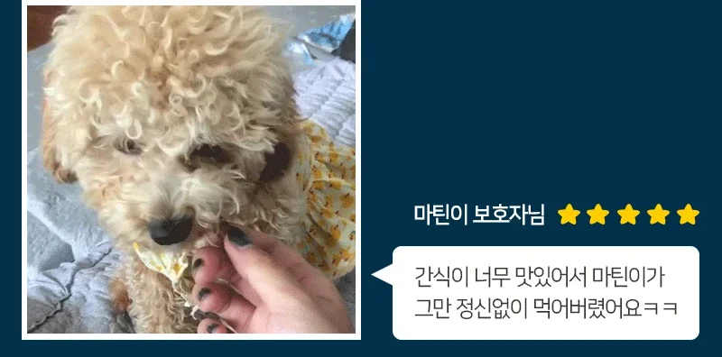 브리더랩 롱롱 고기스틱 연어 24g2p 상세4