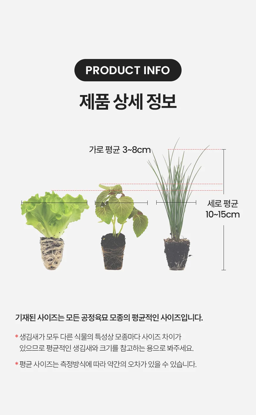 황금배추 CR황금 2개 상세5