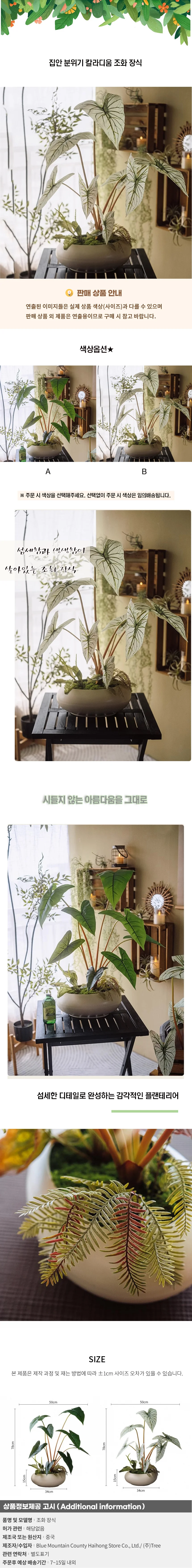 집안 분위기 칼라디움 조화 장식03(색상) 상세1