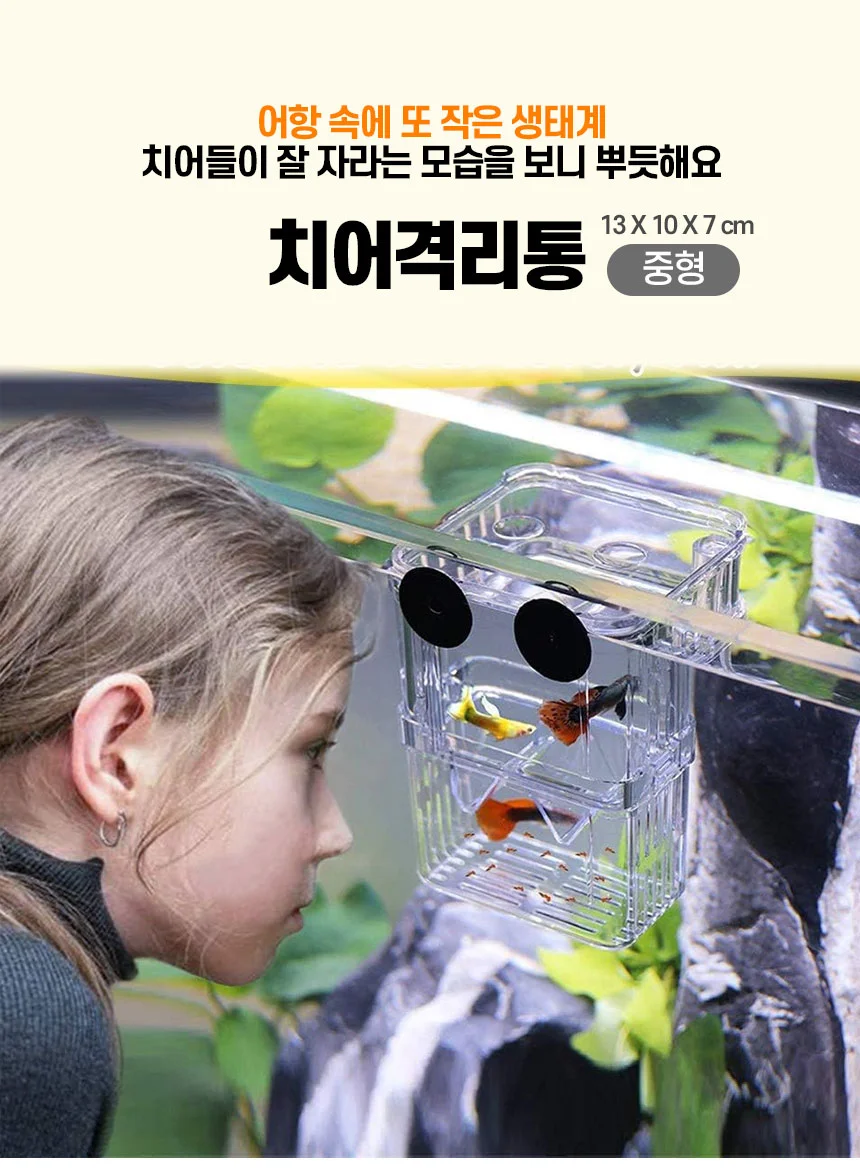 치어격리통(중형) 치어 사육통 어항 중형 어류 격리통 관상어 해수어 상세1