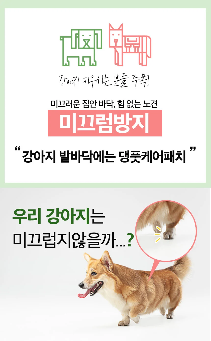 강아지 발바닥 보호 패치 슬개골 미끄럼 방지 댕풋 케어 상세2