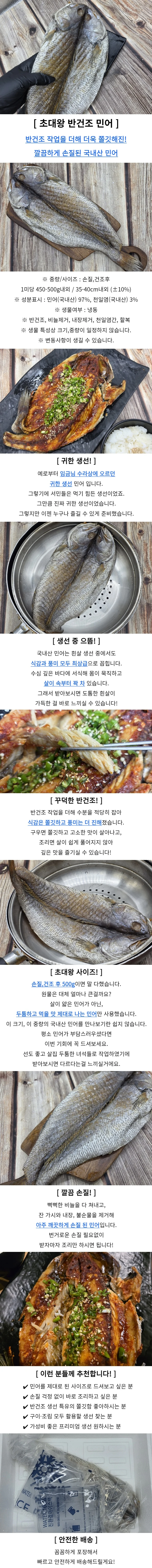 반건조 민어 특대 1미 명절선물세트 반건조민어1미 민어요리 상세1