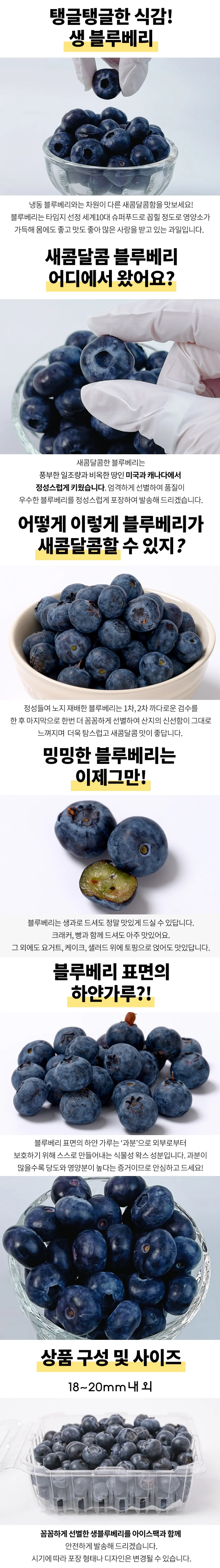 블루베리 왕특 125g 12팩 상세1