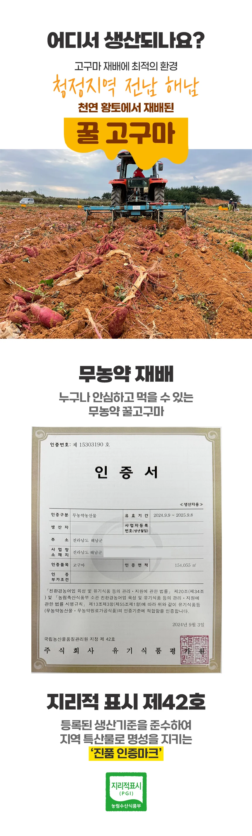 해남 고압살균 세척 고구마 5kg (중상) 상세5