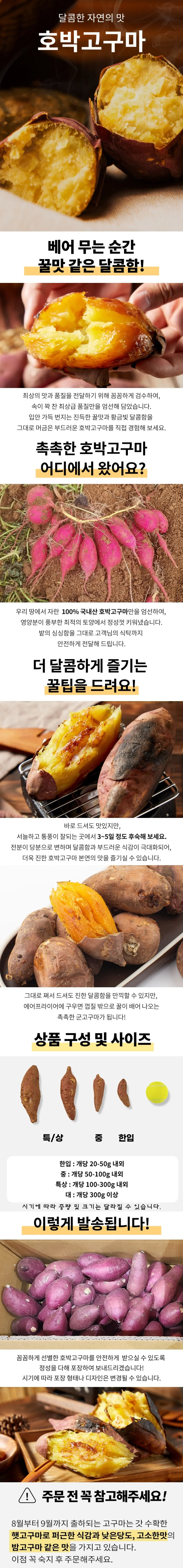 해남 호박고구마 5kg 중 상세1
