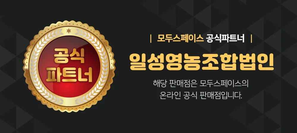 흑화고 명절 표고버섯 400g 영동 추석선물세트 건 상세3