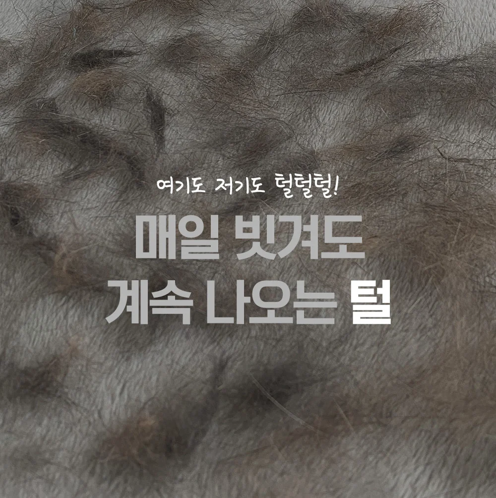 뚜또가또 그루밍 브러쉬/반려동물 죽은털 제거/브러쉬 상세5