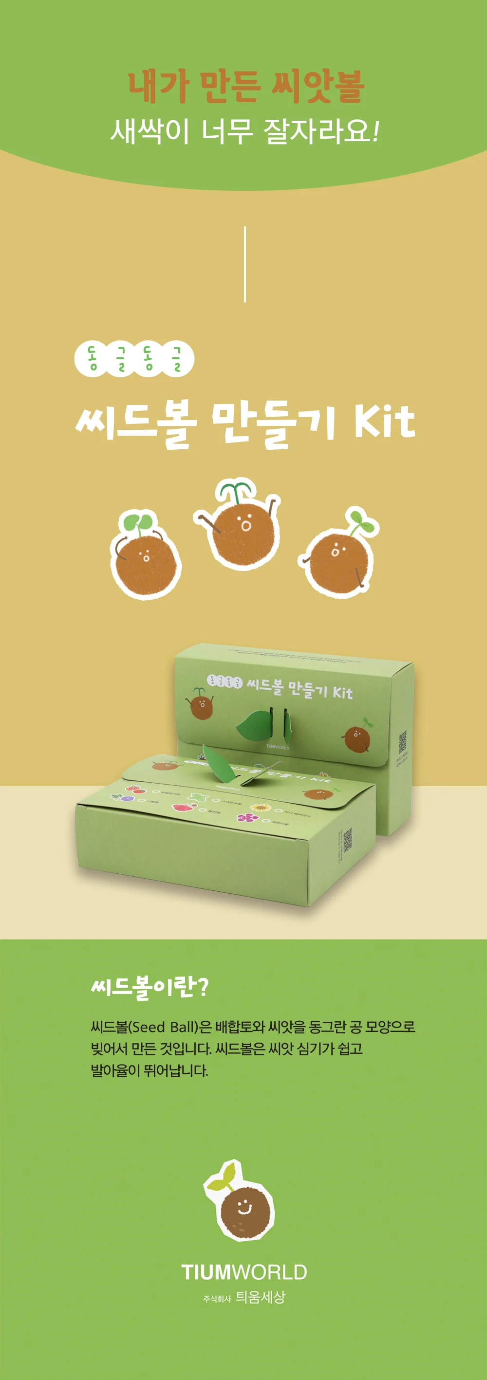 씨드볼 만들기 키트 식물씨 씨앗키우기 텃밭씨앗 씨앗선물 상세3