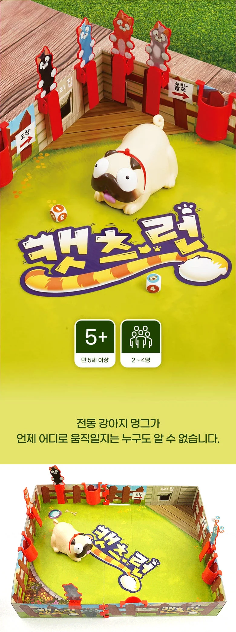 캣츠 런 초등 학생 어린이 가족 보드게임 커플 패밀리 게임 상세3