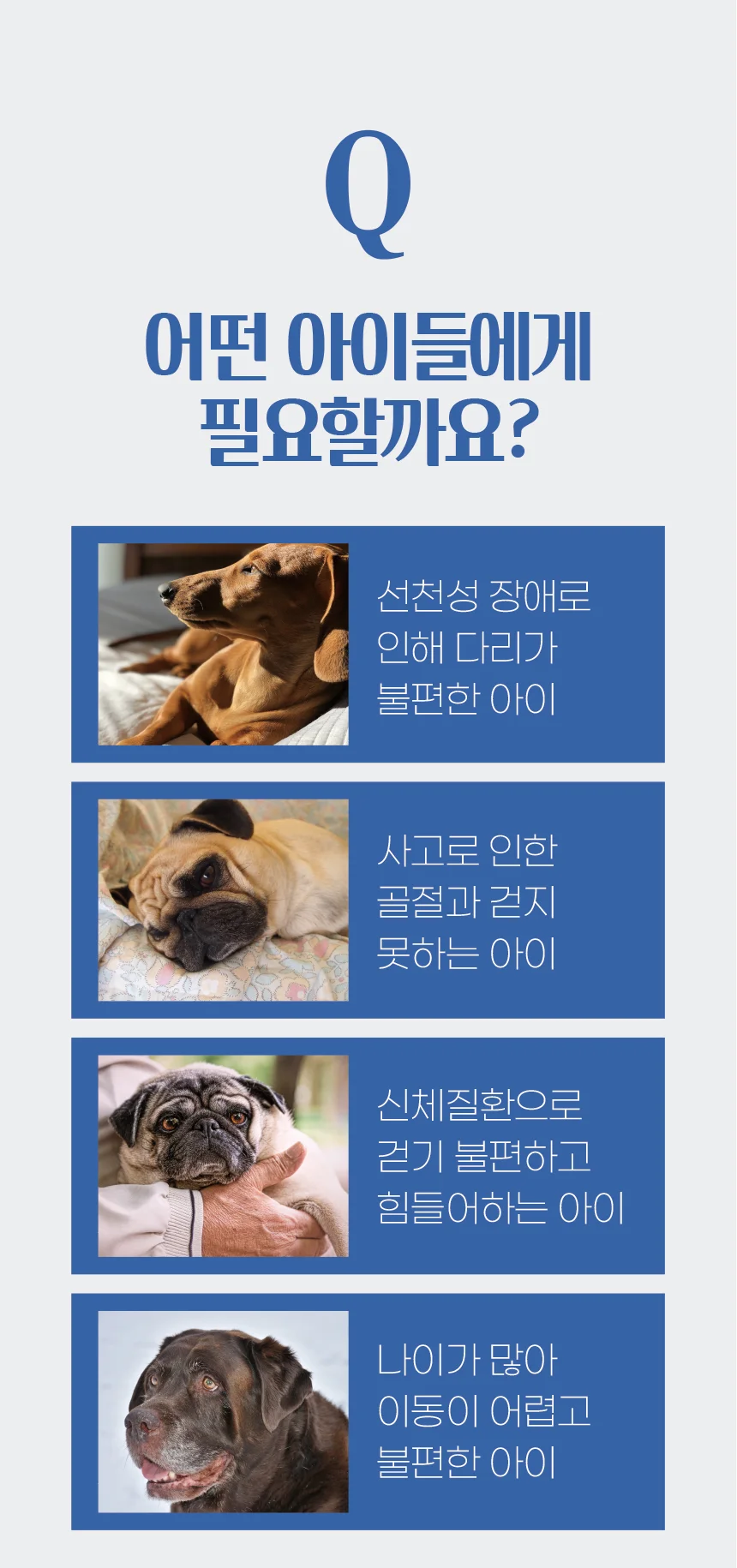 애구애구 강아지 휠체어 보행기 2륜 상세5