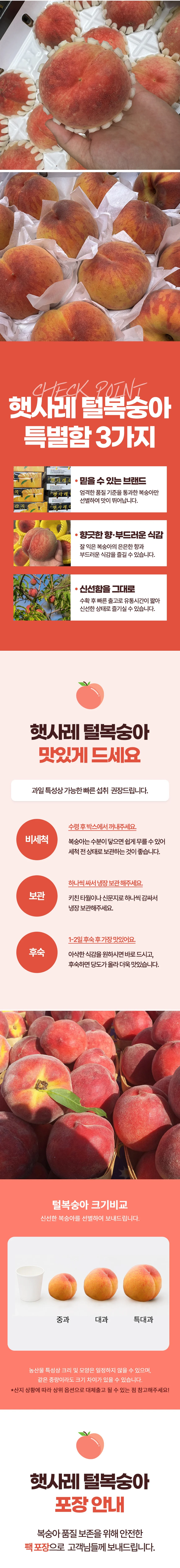 햇사레 황도복숭아 특대과 4kg(13~15과 내외) 상세2