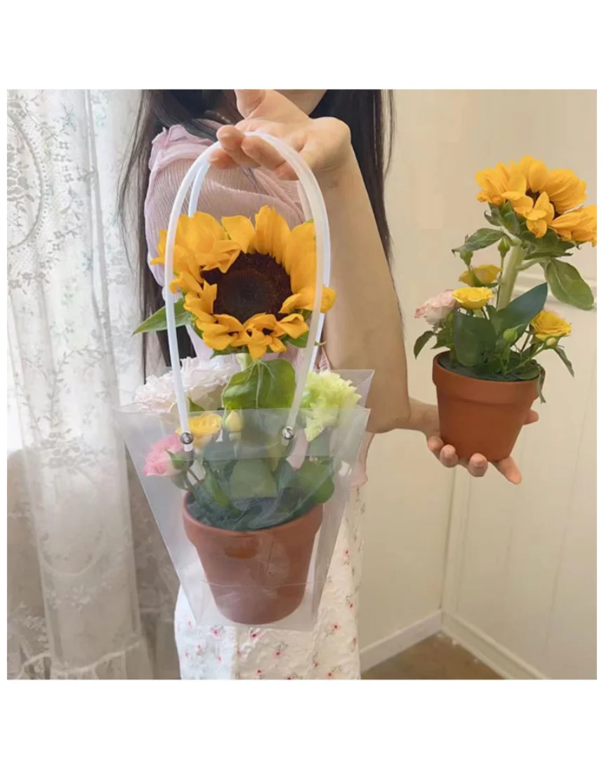 쇼핑백 화분쇼핑백 꽃다발쇼핑백 투명 사다리쇼핑백 10개 상세3