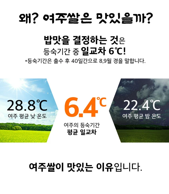 여주쌀 4kg 상세3