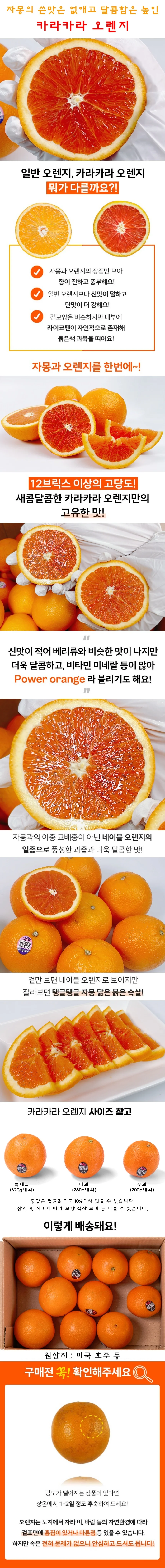 카라카라 오렌지 중과 20개 상세1