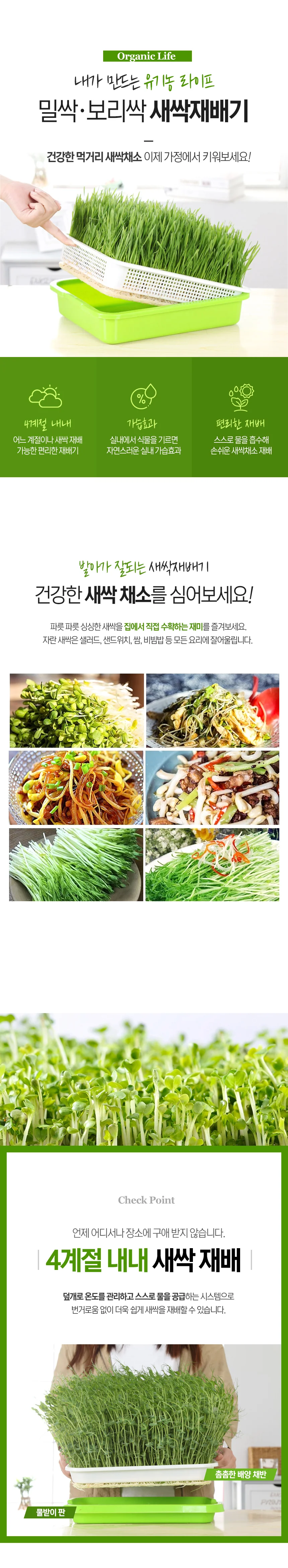 새싹보리 밀싹 수경 재배기 채소 키우기 홈가드닝 상세1
