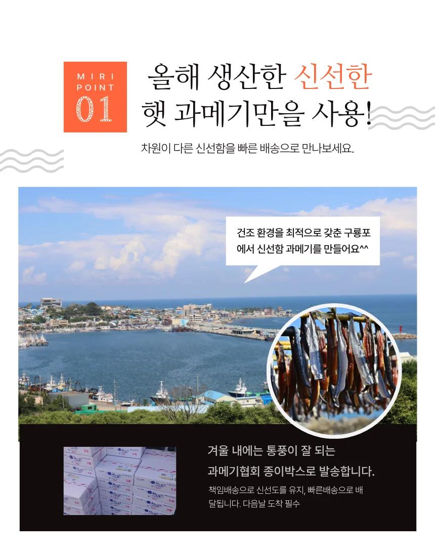 (꽁치)손질과메기 10미20쪽 야채포함풀세트 3인분 상세5