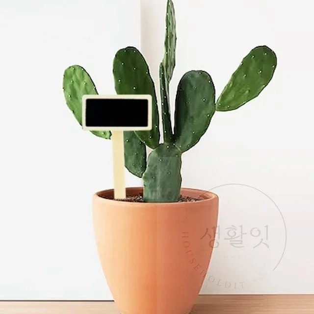 칠판형 원목 이름표 20개입 식물표찰 수목이름표 화단팻말 식물라벨 텃밭이름표
