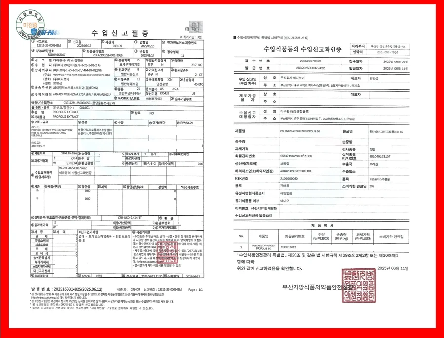 브라질 폴리넥타 그린 프로폴리스 80 30ml x 5개 상세2