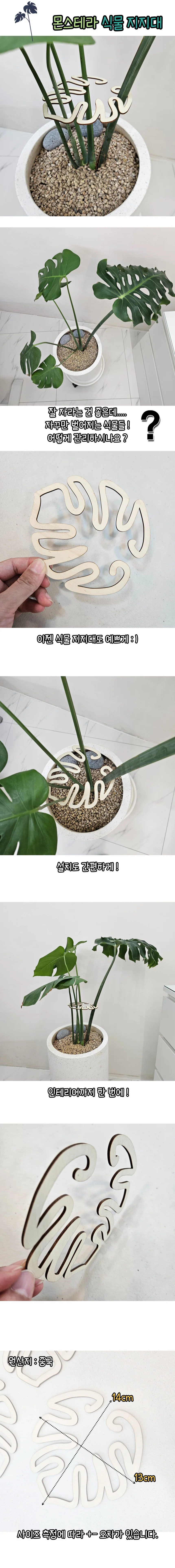 몬스테라 지지대 식물지지대 화분지지대 상세1
