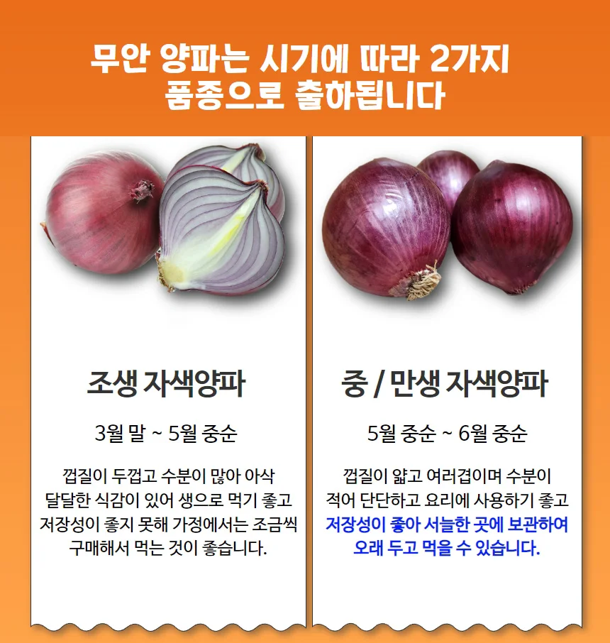 전남 무안 황토골 자색양파 중대혼합 5kg 상세3