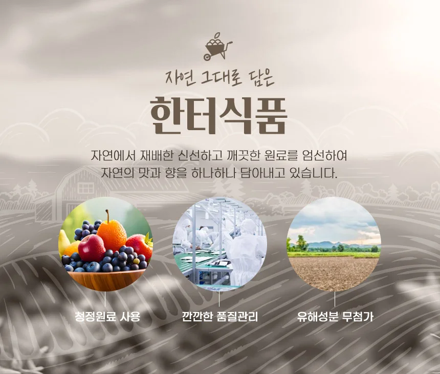 국내산 수제 발효청 선물세트 오미자청 아로니아청 세트 500mlx2ea 명절 추석 답례품 상세2