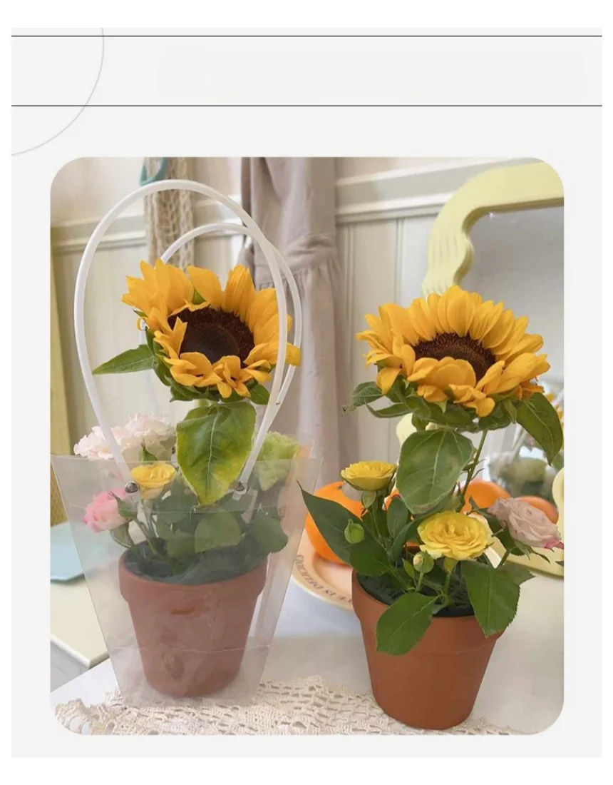 쇼핑백 화분쇼핑백 꽃다발쇼핑백 투명 사다리쇼핑백 10개 상세4
