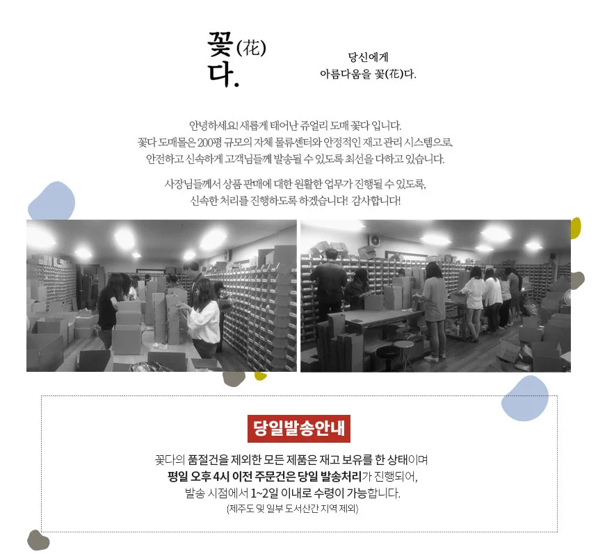 투명 호마이카 반지 2종 컬렉션 상세3
