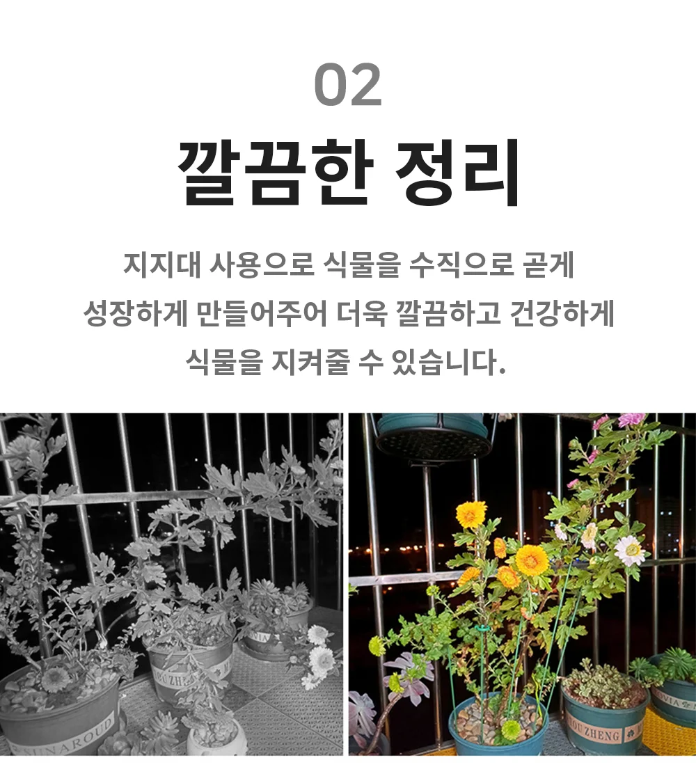 화분 식물지지대 C형 화분지지대 작물지지대 화분고정 상세4