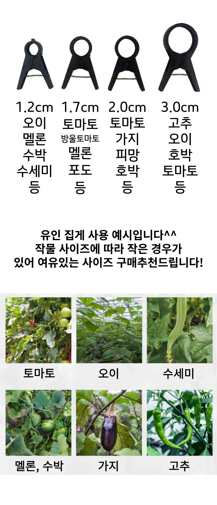 3.0cm 고추집게 오이집게 호박 토마토 작물유인 집게 상세2