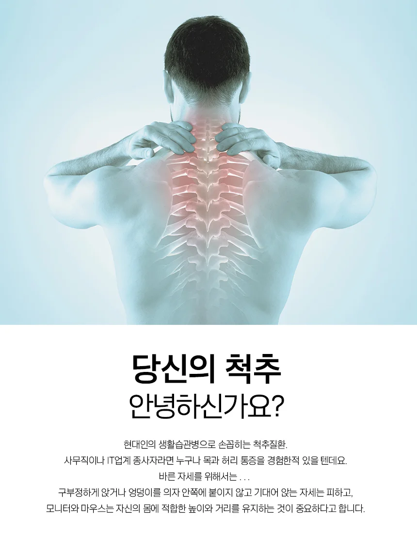 듀얼 모니터암 모니터 받침대 스탠드 회전 거치대 8kg 상세3