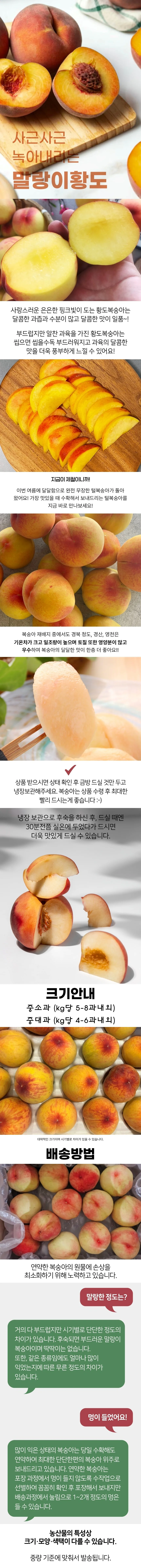 황도 복숭아 4kg 중대과 상세1