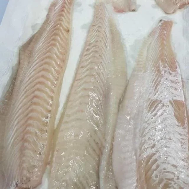 광어회 광어필렛 200g 일식사시미 숙성사시미 초밥용광어
