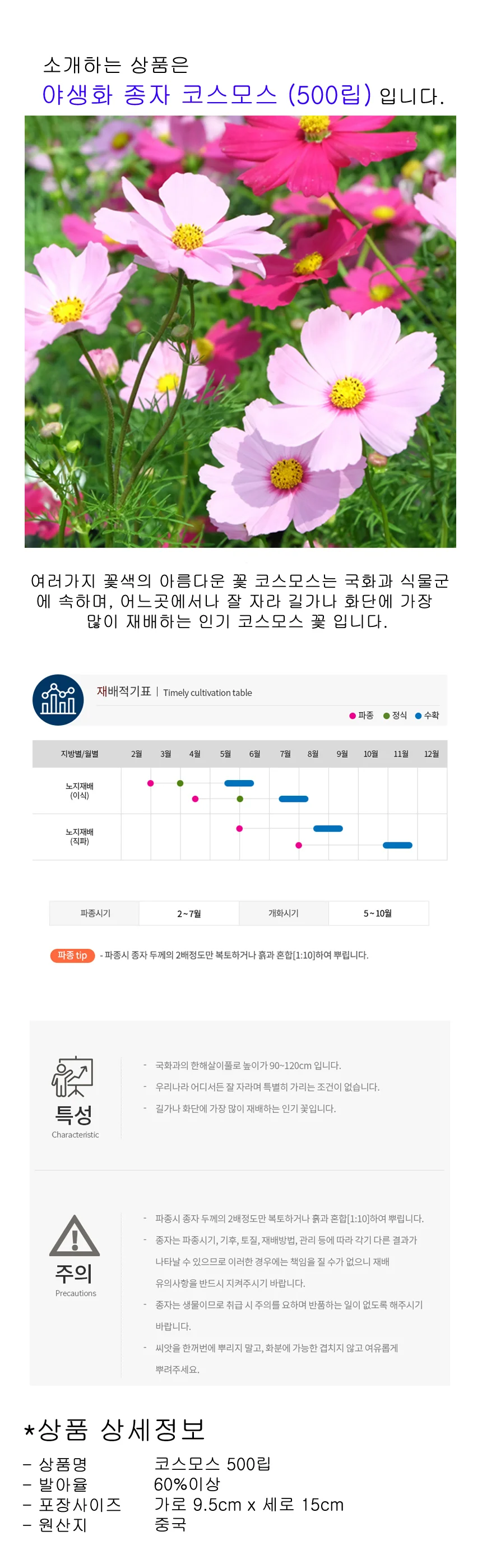 씨앗팜 야생화 꽃씨 종자 코스모스 판매 500립 상세1