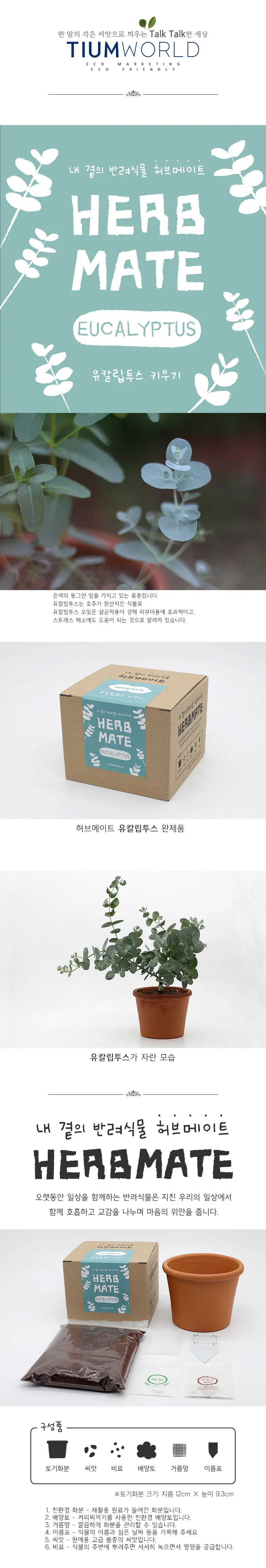 허브 유칼립투스 박스 사무실용화분 허브키트 허브식물 식물기르기 상세1