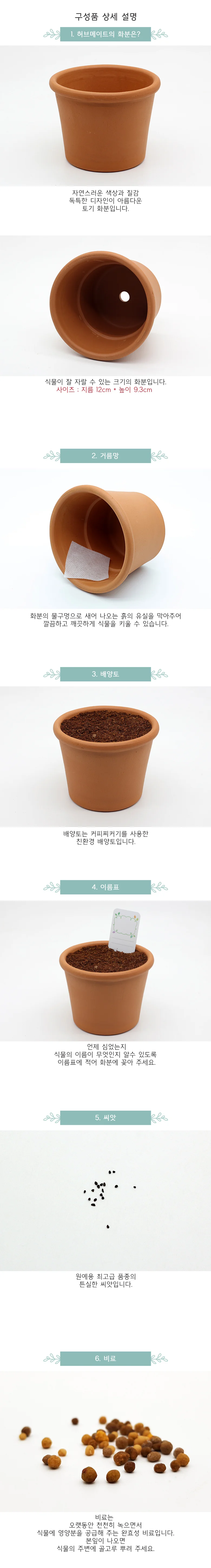 허브 유칼립투스 박스 사무실용화분 허브키트 허브식물 식물기르기 상세2