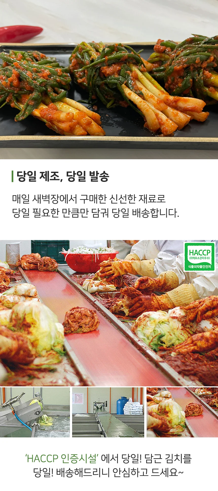 전라도 맛갈지고 화끈하게 매운 파김치 10kg 상세4