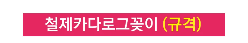삼화 카다로그 스탠드 잡지 꽂이 거치대 1열 8단 A3 상세4