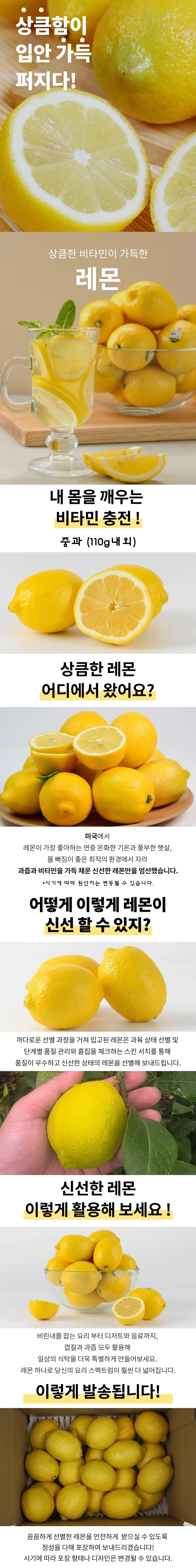 레몬 중과 30개 상세1