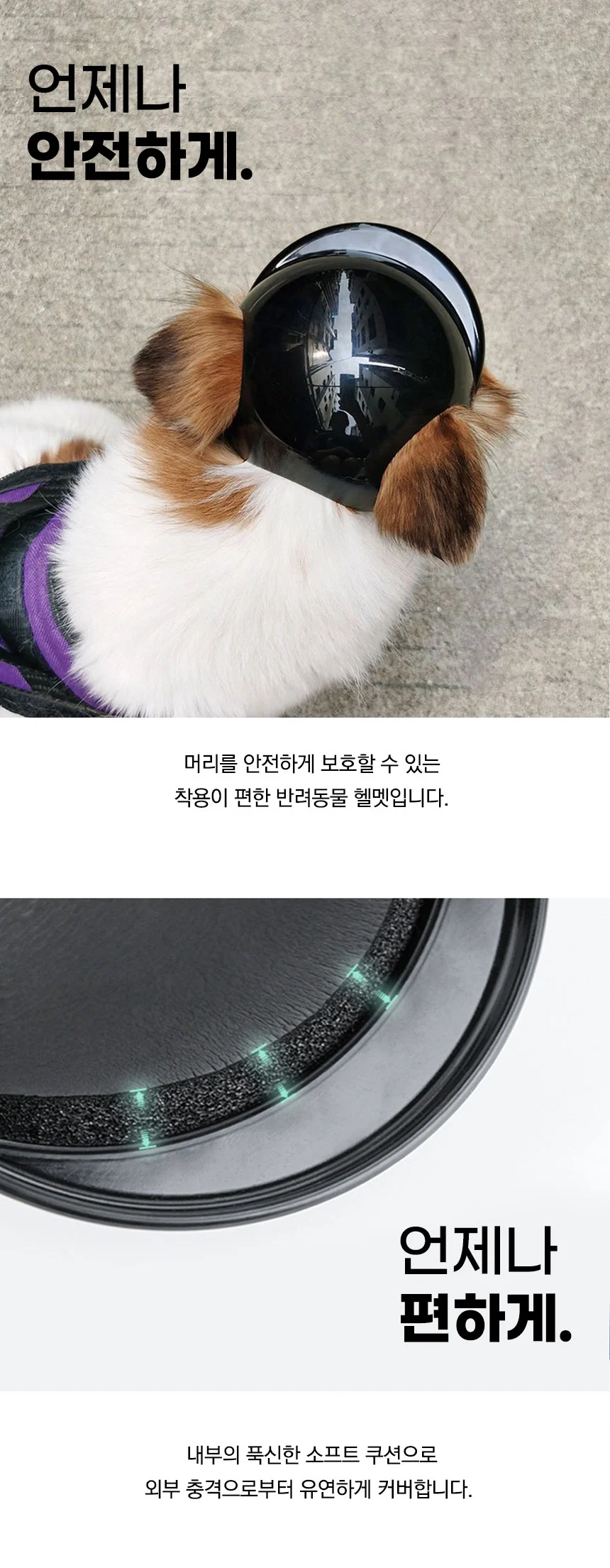 PET 강아지 고양이 헬멧 드라이브 머리보호 모자 상세2