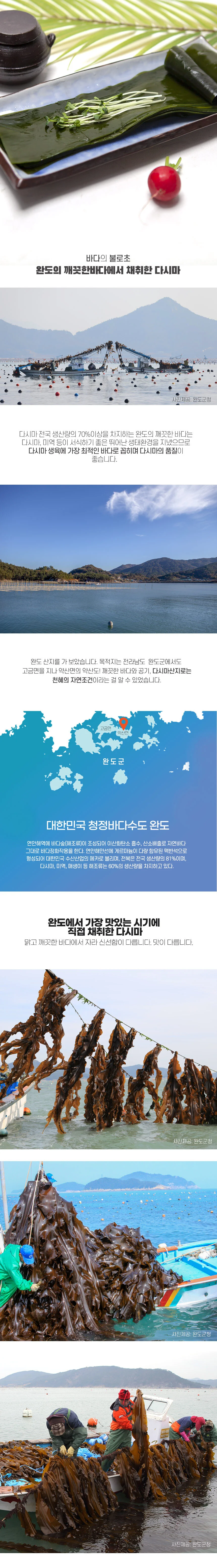 완도 염장 생다시마 쌈다시마 500g 상세3